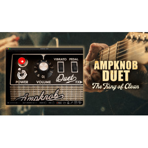 Bogren Digital Ampknob Duet
